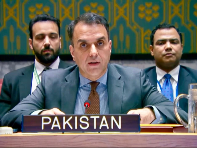 Pakistan Condemns Israeli Attacks on Lebanon at UN Security Council